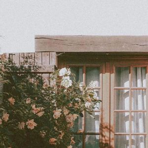 往后求财我不求爱