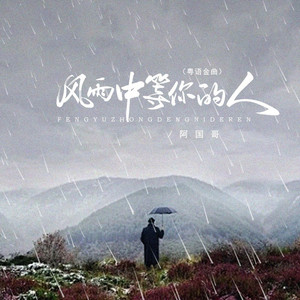 风雨中等你的人