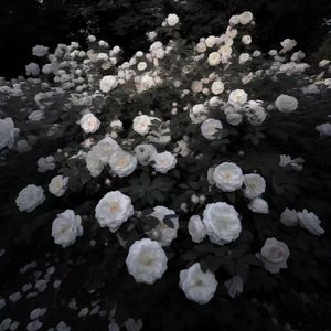 触霖-整曲 伴奏