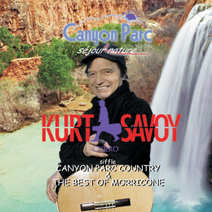 L'homme à l'harmonica