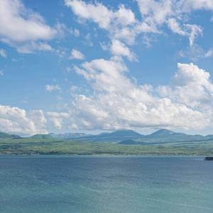 雁南飞 (品二胡音韵绵长)