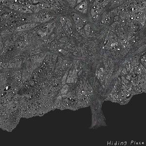 Hiding Place
