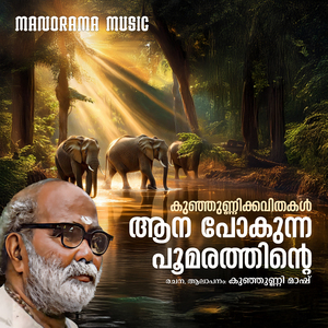 Aana Pokunna