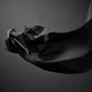 Voir un ami pleurer (feat. Mallika Hermand)