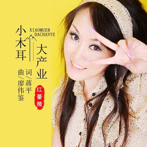 小木耳 大产业 (伴奏)