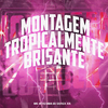 Mc Atrevida - Montagem Tropicalmente Brisante