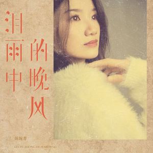 泪雨中的晚风 (车载DJ版)