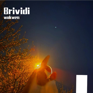 Brividi