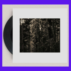 Sit and wait (Vinyl edit)