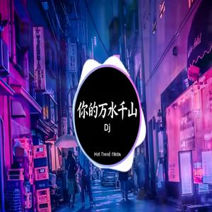 你的万水千山 (DJ抖音2026版) 【抖音热门歌曲】