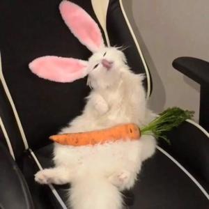 想要你知道（翻自 许亚童）