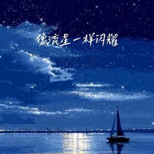 像流星一样闪耀 (Cover 菲菲公主 (陆绮菲))