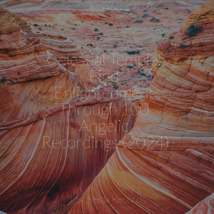 Midnight Masquerade's Solitude