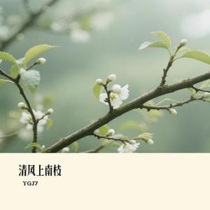 清风上南枝 (Cover 榴莲妹)