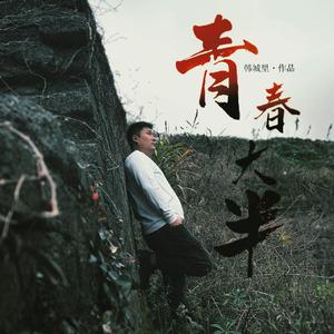 青春大半