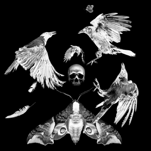 The Devil in Me