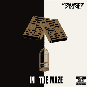 In the Maze