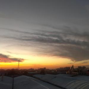 归寻（翻自 等什么君）