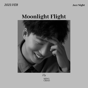 月夜飞行Moonlight Flight
