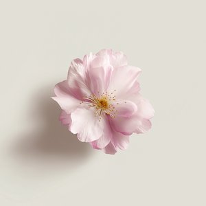 Spring Breeze Letters