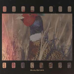 I AM A ROVING GAMBLER