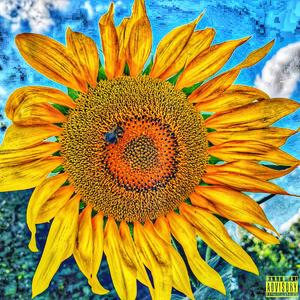 Sonnenblumen (interlude) (feat. Rocca Fe77a)