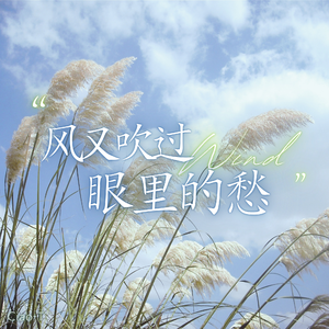 风又吹过眼里的愁（烟嗓男版）