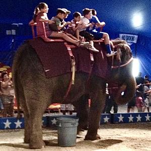 I'm Tired of Lying and Sinning