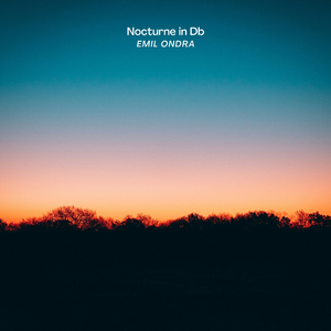 Nocturne in Db