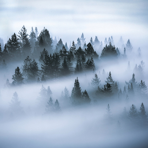 Coal (Slow Trap) (I've Seen Heaven Without Dying)