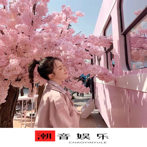 In The End(越南鼓原版)