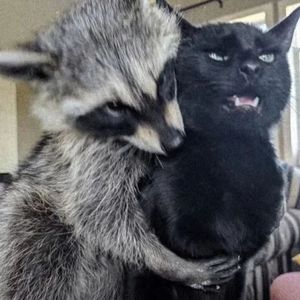 无法远离你(prod. TwonTwon)