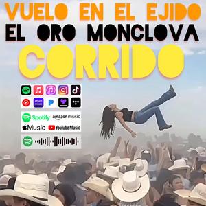 Vuelo en el Ejido (El Oro Monclova)