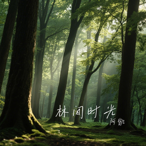 林间时光