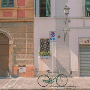 海盐与鼠尾草(cover代诗琪)