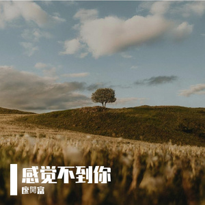 感觉不到你