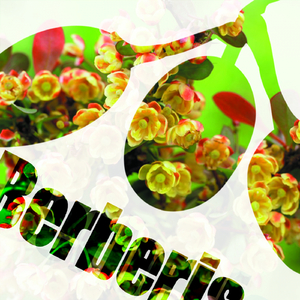 About Me (Original Mix)