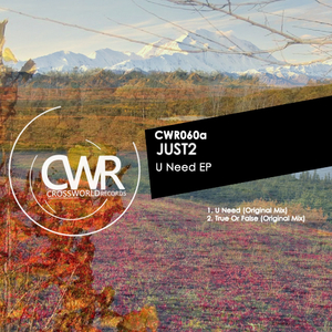 U Need (Original Mix)