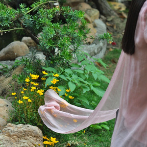 岁月（古筝版）