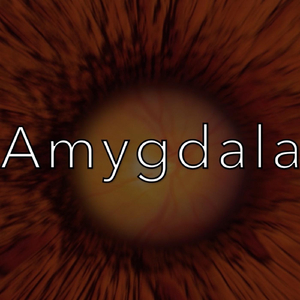 Amygdala