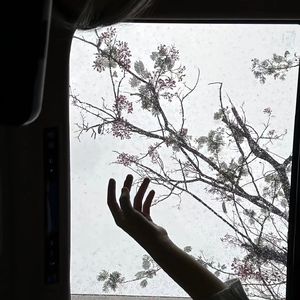 断背山（cover：吴海啸）