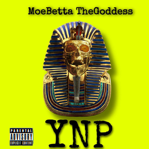 Y.N.P