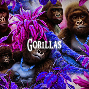 Gorillas