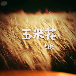 玉米花-胡杨