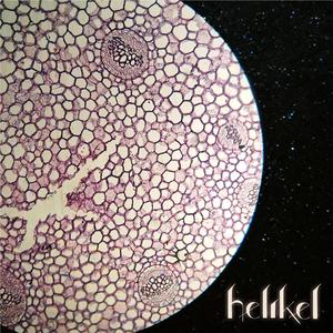 Álmatlan életfogytig