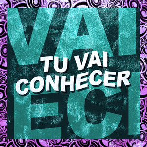 TU VAI CONHECER (Slowed)