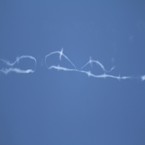 好きだと言って