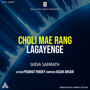 Choli Mae Rang Lagayenge