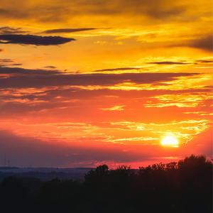 Velvet Dawn
