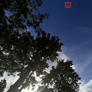 拥抱一整个夏天